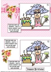 Stella Has a Senior Moment Quick Card