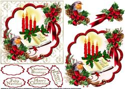 Christmas Robin with Bible Quick Card