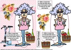Stella and Her Exercise Bike Quick Card