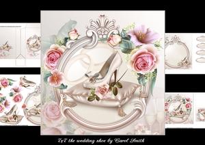 7x7 the Wedding Shoe Mini Kit