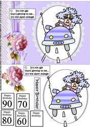 Stella Age and Mileage Quick Card