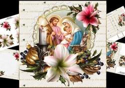 8x8 festive amaryllis with nativity scene mini kit