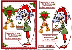 Stella and her Christmas miracle quick card