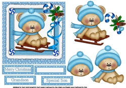 Ted goes sledging blue