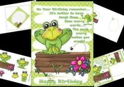 The birthday frog mini kit