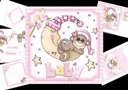 7x7 welcome baby girl mini kit