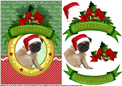 Christmas wishes Pug