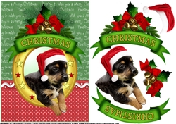 Christmas wishes Rotweiler puppy