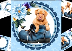 8x8 puppy in boot mini kit