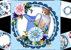 8x8 cat with water jug mini kit