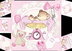 8x8 beautiful new baby girl mini kit