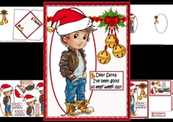 The teen boy wites to Santa mini kit