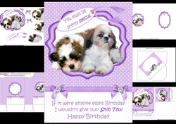 Pretty special birthday wishes mini kit