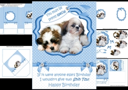 Pretty special birthday wishes blue mini kit