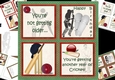 8x8 Another year of cricket mini kit