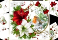 8x8 Christmas Robin with amaryllis mini kit 1