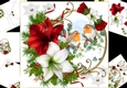 8x8 Christmas Robin with amaryllis mini kit 2