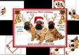 We wish you a merry Christmas from the dogs mini kit 1