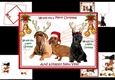 We wish you a merry Christmas from the dogs mini kit 3