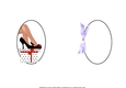 7x7 Love shoes insert