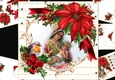 8x8 Poinsettia and robin with Christmas scene 3