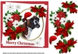 7x7 Boxer dog Christmas wishes