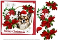 7x7 Chihuahua Christmas wishes