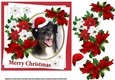 7x7 Collie dog Christmas wishes