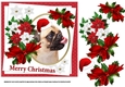 7x7 Pug Christmas wishes