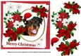 7x7 Rottweiler Christmas wishes