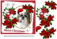7x7 Shih Tzu Christmas wishes