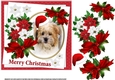 7x7 Terrier Christmas wishes