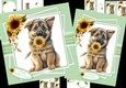 German shepherd wishes 7x7 & A5 mini kit