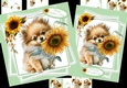 Pomeranian wishes 7x7 & A5 mini kit