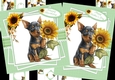 Pincher wishes 7x7 & A5 mini kit