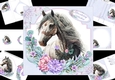 7x7 Beautiful horse mini kit