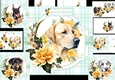 7x7 special puppy wishes 4 choice of 4 toppers mini kit