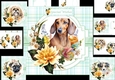 7x7 special puppy wishes 5 choice of 4 toppers mini kit