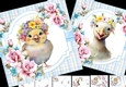 7x7 baby chick and duckling mini kit