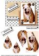 Wrinkles and Smiles Birthday Teardrop Pyramid