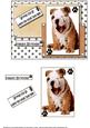 Wrinkles and Smiles Birthday Quick Topper