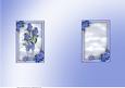 Blue Roses and Pearls Insert