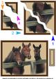 Three Horses at the Fence