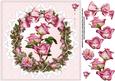 8x8 Roses Roses Roses