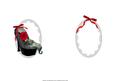 Leopard Skin Shoes and Red Roses Insert