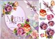 8x8 English Roses for Mum