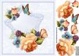 8x8 Peach and Blue English Roses