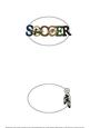 Soccer Star Large Dl Insert