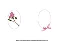 Butterflies Roses and Lace Insert