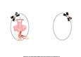 Dance Ballerina Dance Insert